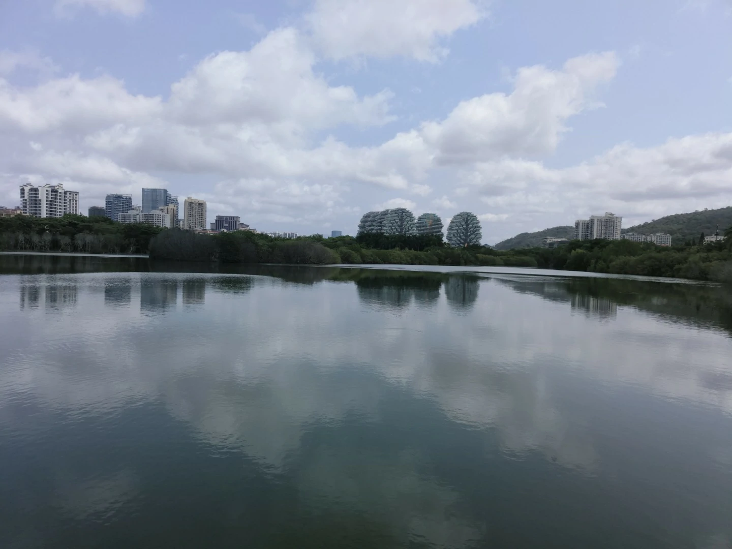 Lm_2026_0630_113011_a34812.webp