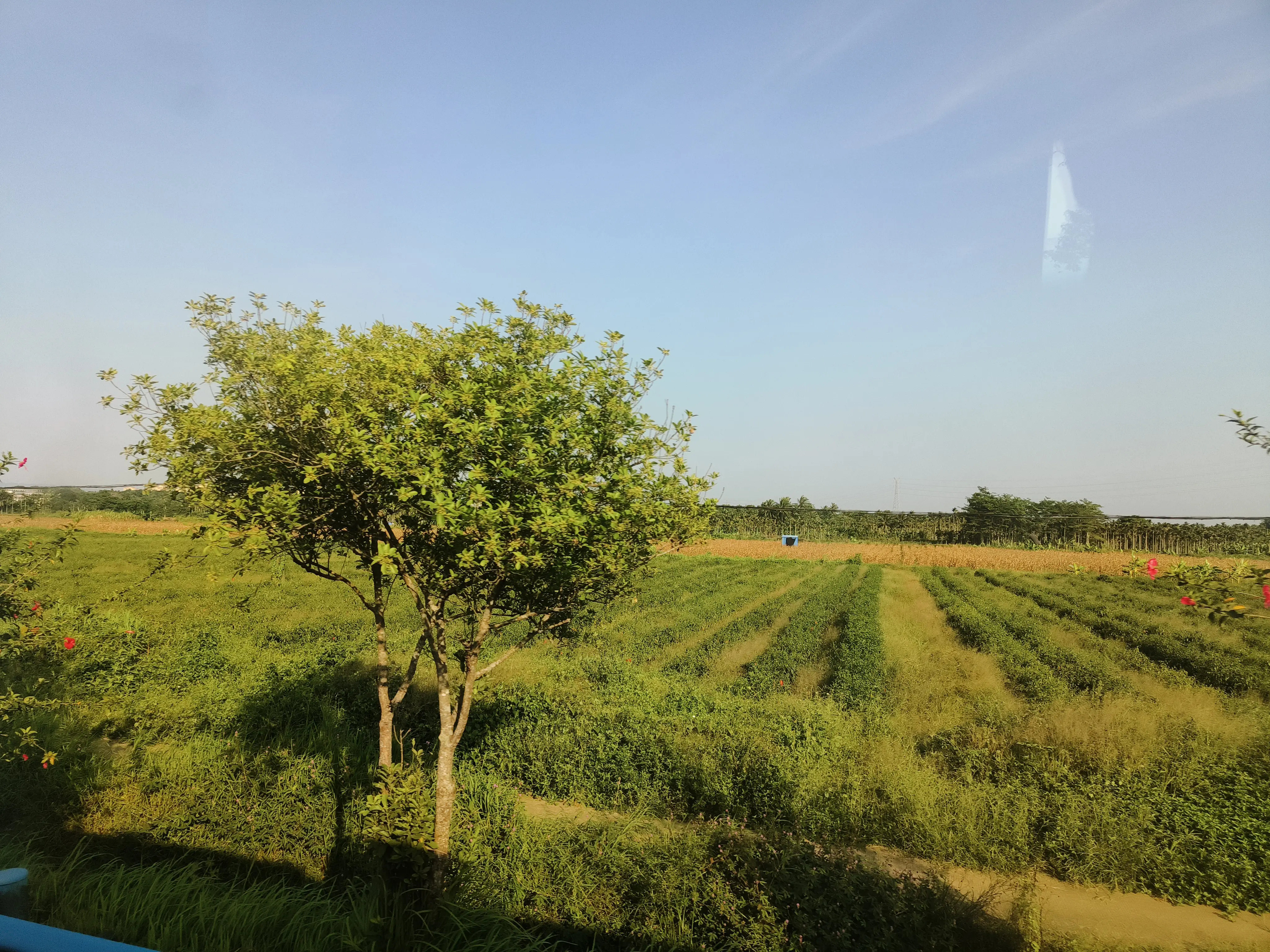 Lm_2026_0630_171329_de267c.webp
